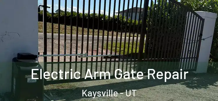 Electric Arm Gate Repair Kaysville - UT