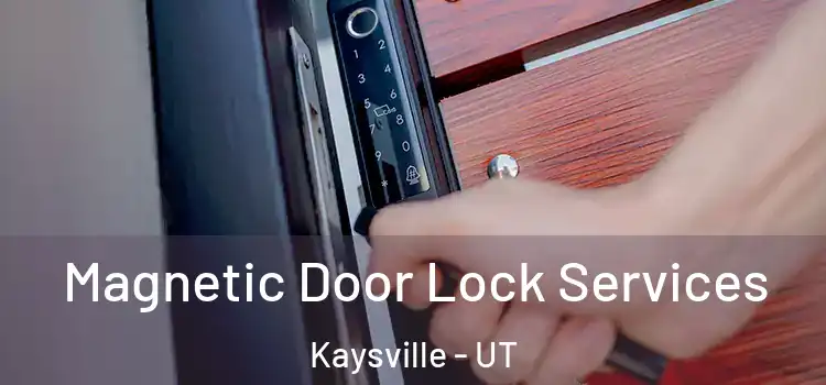 Magnetic Door Lock Services Kaysville - UT