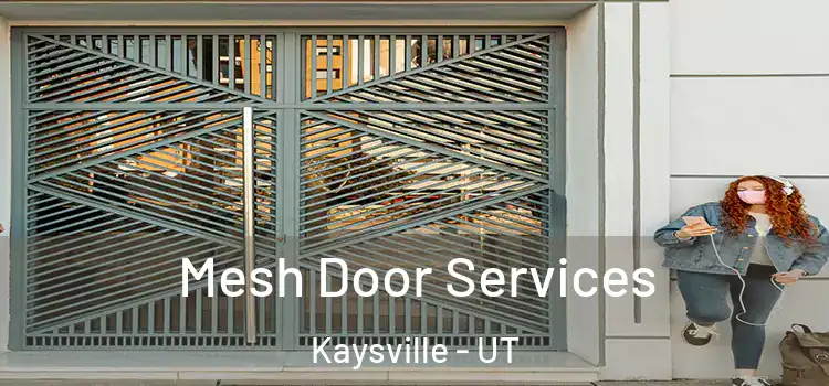 Mesh Door Services Kaysville - UT
