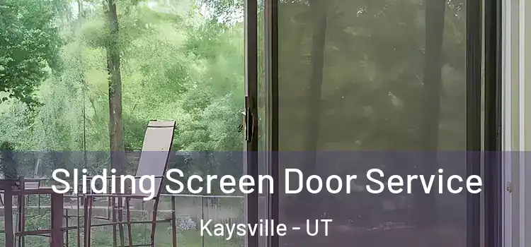 Sliding Screen Door Service Kaysville - UT